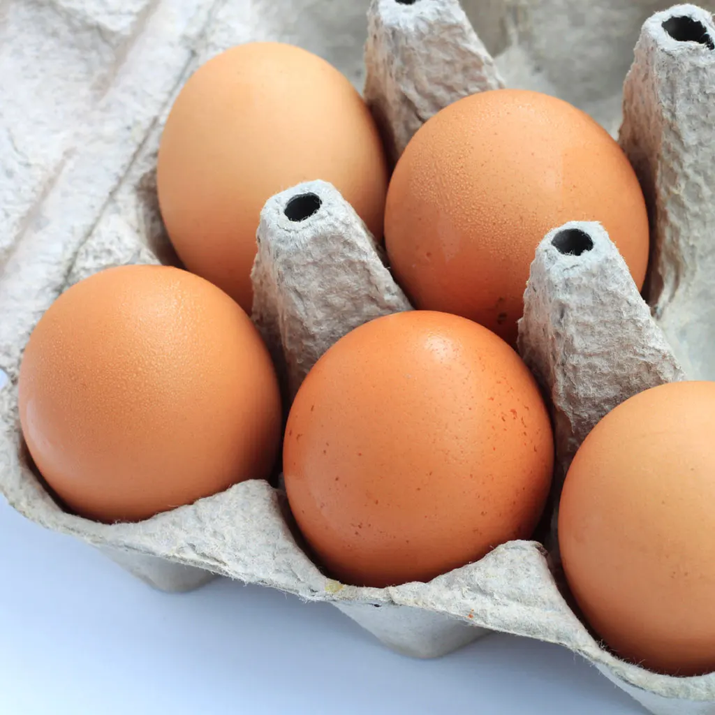 Best Quality Organic Fresh Chicken Table Eggs Available
