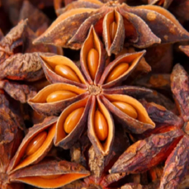 Лидер продаж натуральные вьетнамские травяные лекарственные приправы хорошего качества сушеные звезды анис специи звезда