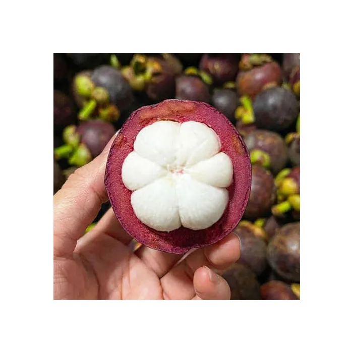 High Quality Premium Grade Mangosteen Fresh Fruit From Thailand