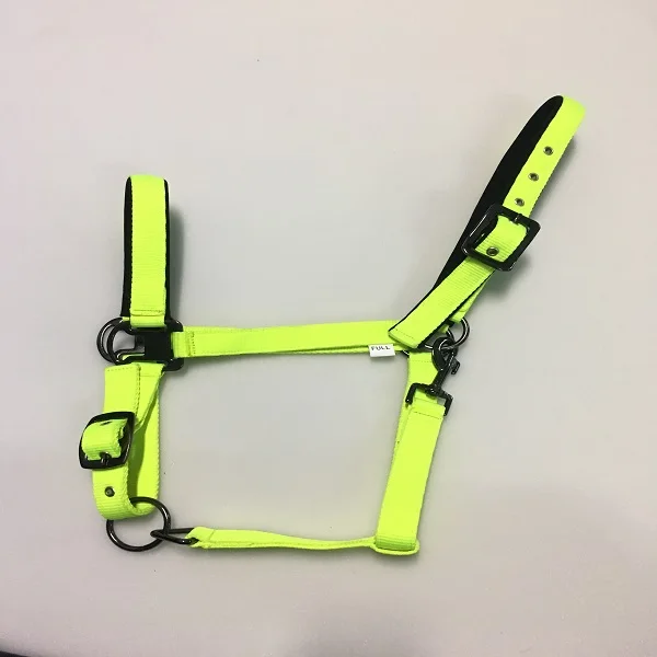 
Fleece padded Horse Halter Manufacturers 