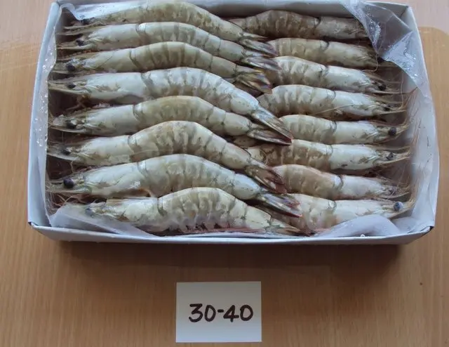 Дешевая заводская цена индийская поставка белых креветок HOSO