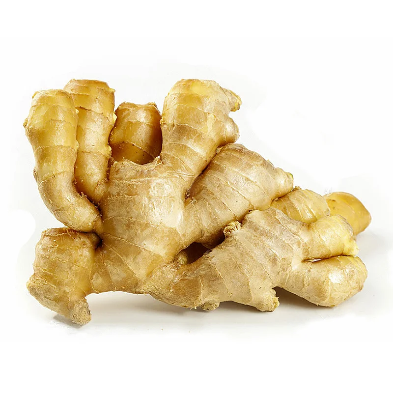 Wholesale organic fresh ginger price