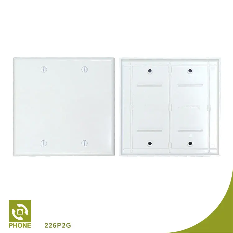 2-gang Blank Device Wallplate