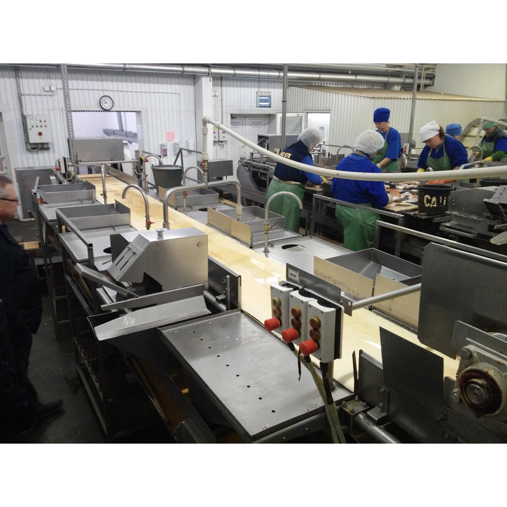 Fish processing conveyor KP