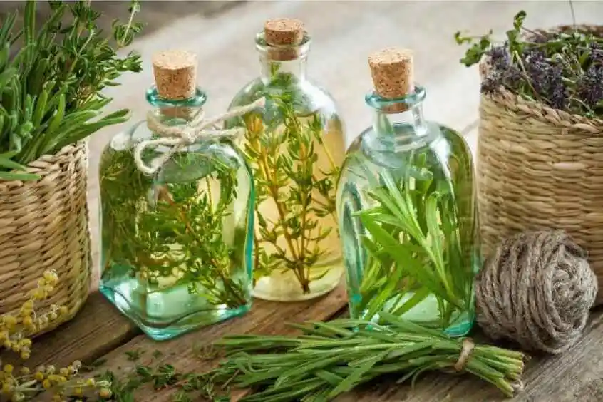 Rosemary extract Oil6.jpg