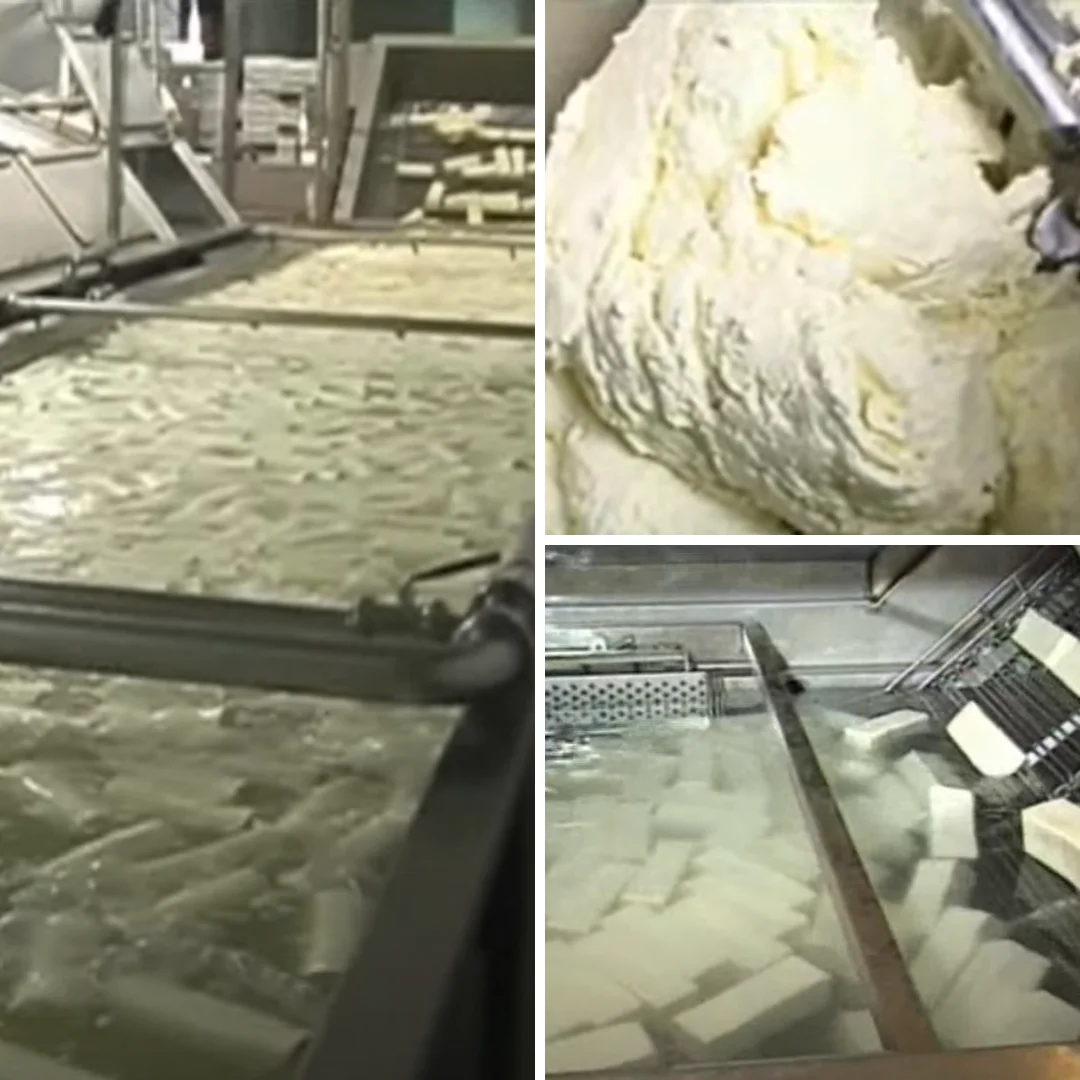 Premium Italian Grana Cheese Protected designation of origin (PDO) for Wholesale Retail Horeca