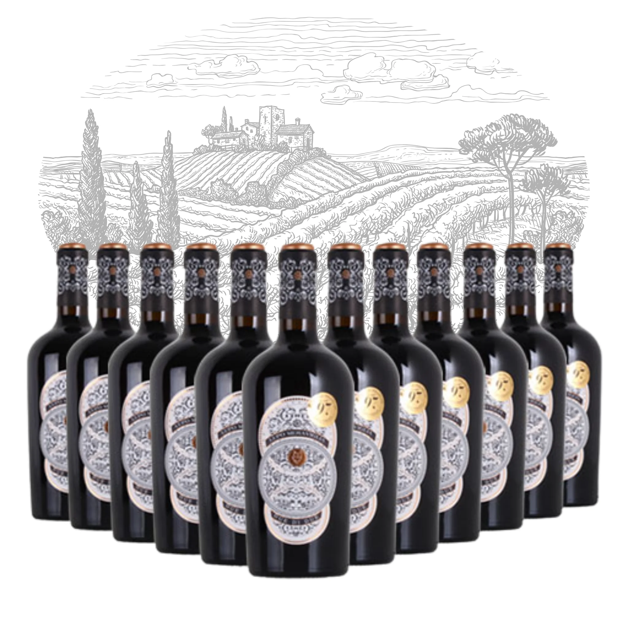 Итальянское красное вино премиум-класса, красное вино, красное вино, грация желтовато-желтовато, из двух бутылок, 750 мл спирта, 13% на экспорт