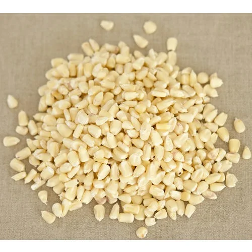 High quality feed grade White corn/maize