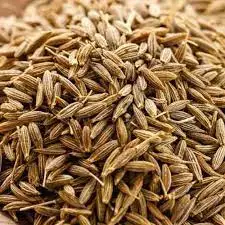 Best quality Singapore 99 cumin seeds brown and machine sortex for reselling and human consumption
