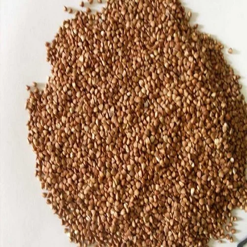 High Quality Hot Sale Roasted Sweet Raw Buckwheat Kernels