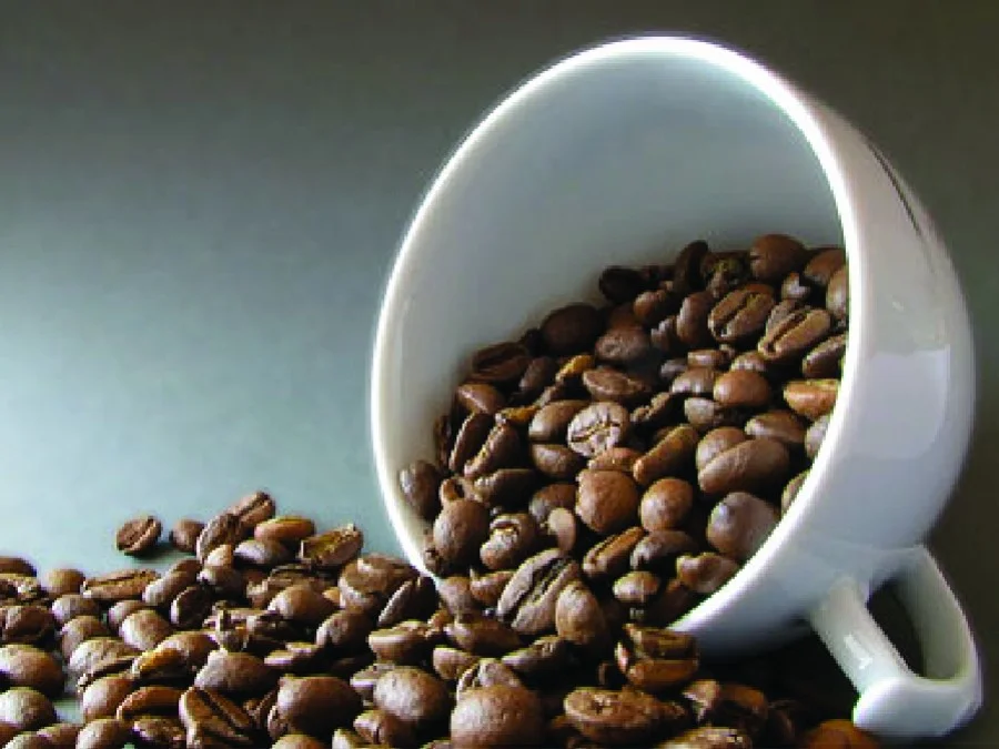 
High Grade Processing Type Arabica Roasted Coffee Whole Beans From Vietnam Fresh Coffee Bean Approved Kosher,HALAL,HACCP 