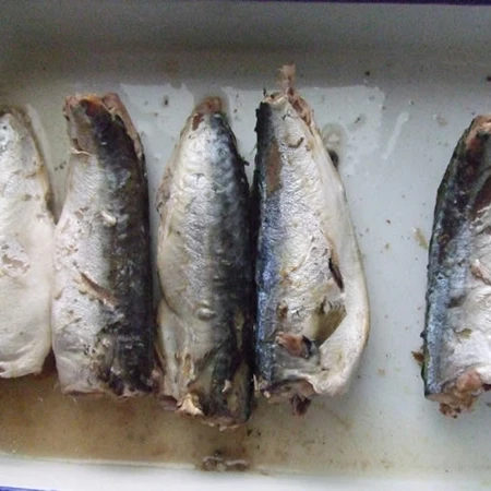 
Canned Mackerel in brine 