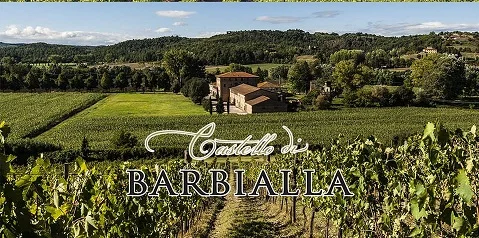 Экстра натуральное оливковое масло Castello di Barbialla 2017