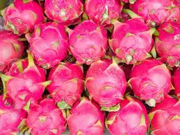 100% свежая питайя