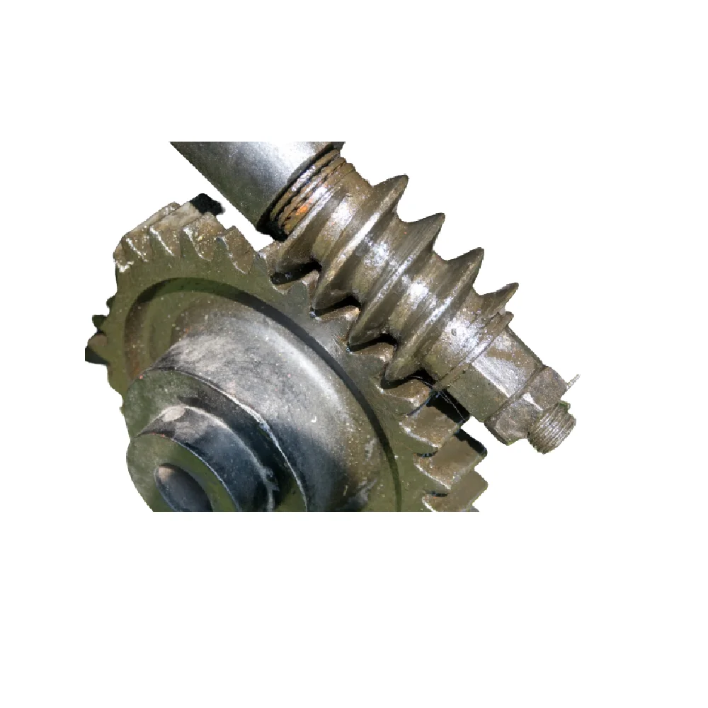 
High efficiency Thailand Manufacture Custom Gear Worm 