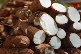 Wholesale Supplier Cassava For Sale In Cheap Price
