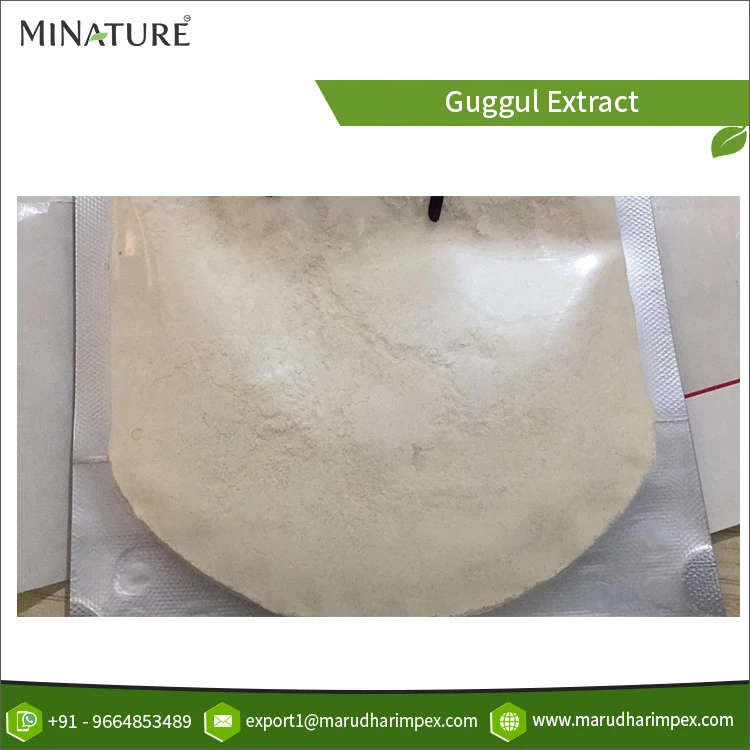 Лидер продаж индийский производитель индивидуальная упаковка 100% чистый и натуральный экстракт гульчавой жвачки травяной порошок