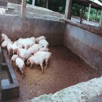 Еда из косточек пальмы/распродажа тортов