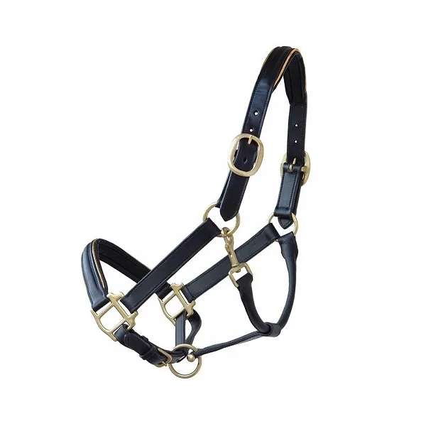 Colorful Padded Leather Luxury Style Horse Halter Head Collar