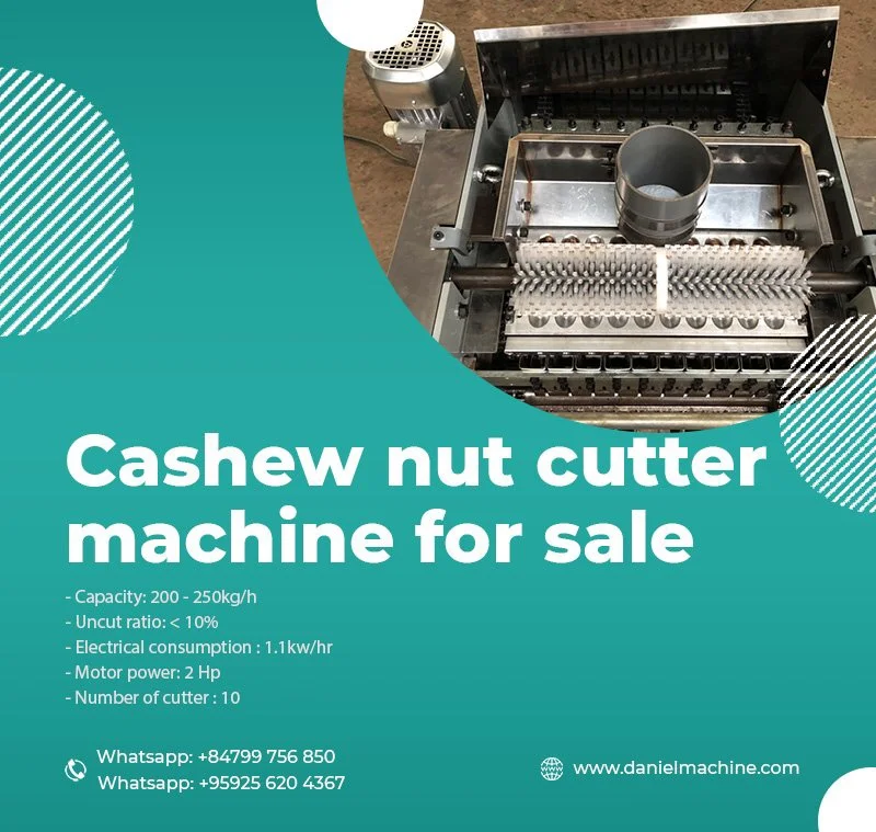Mini cutter Cashew nut sheller machine capacity 200-250 kg high quality made in Viet Nam affordable cashew sheller