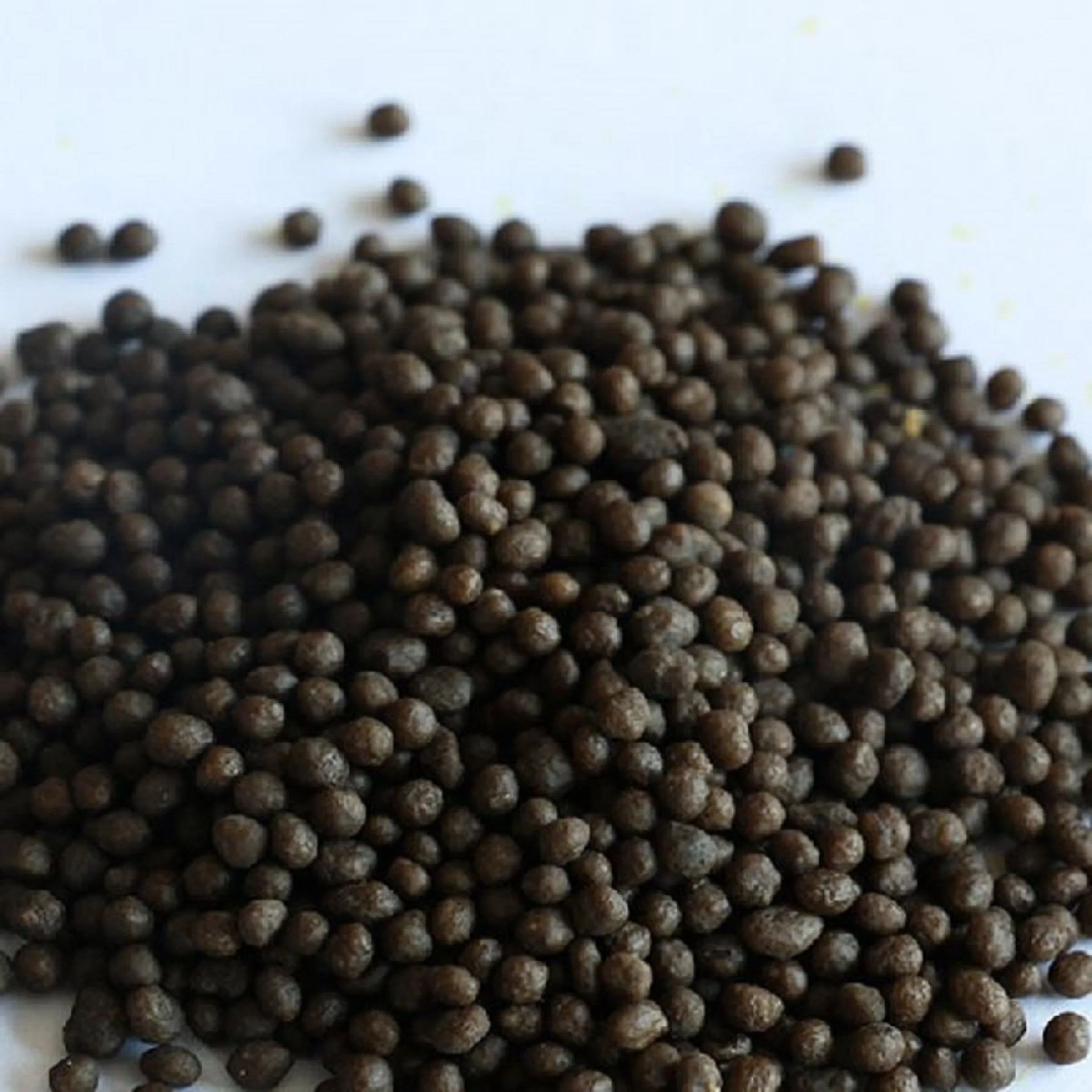 High Quality Fertilizer Granular Ammonium Phosphate  Sulphate Agriculture
