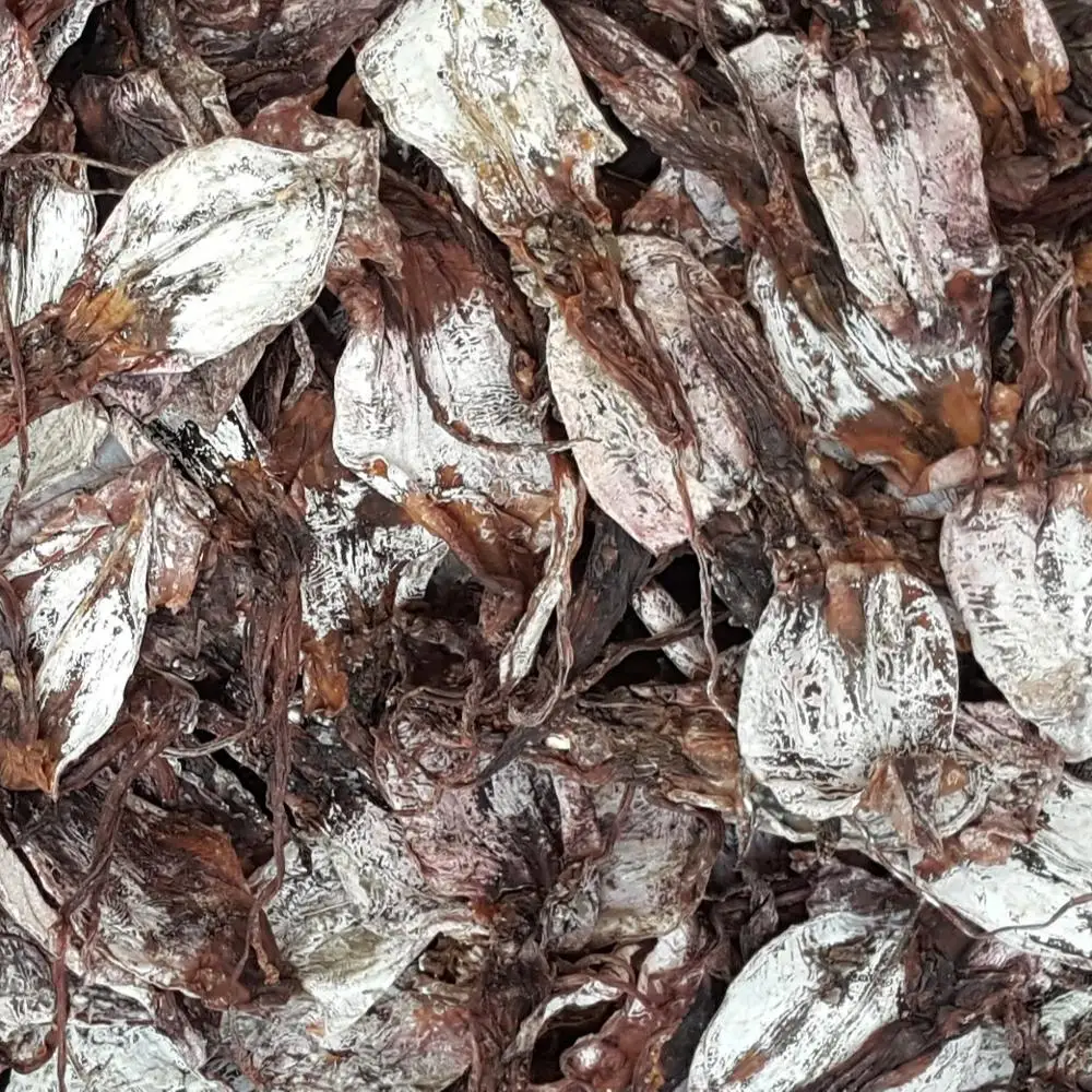 
DRIED BLACK SQUID FOR SALE 