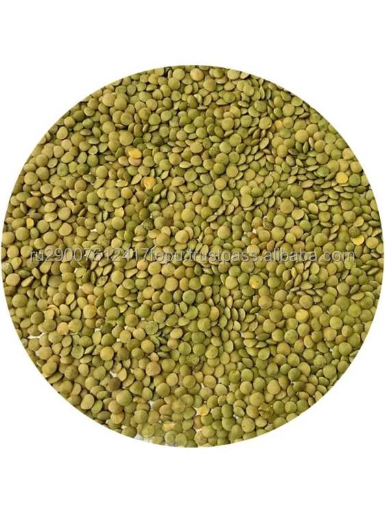 Wholesale green lentils nutritious and saturate body with many vitamins and minerals cheap, lentils price