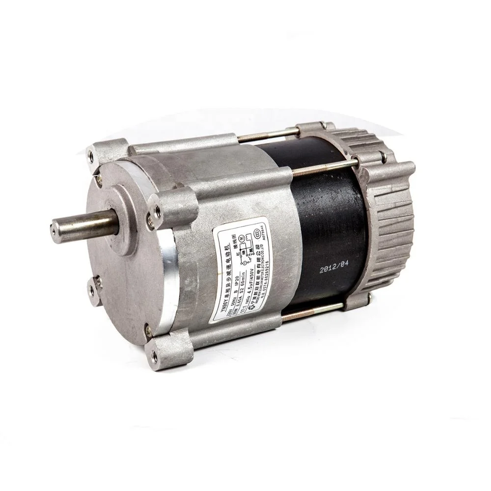 Small Electric Variable Speed Induction Motor