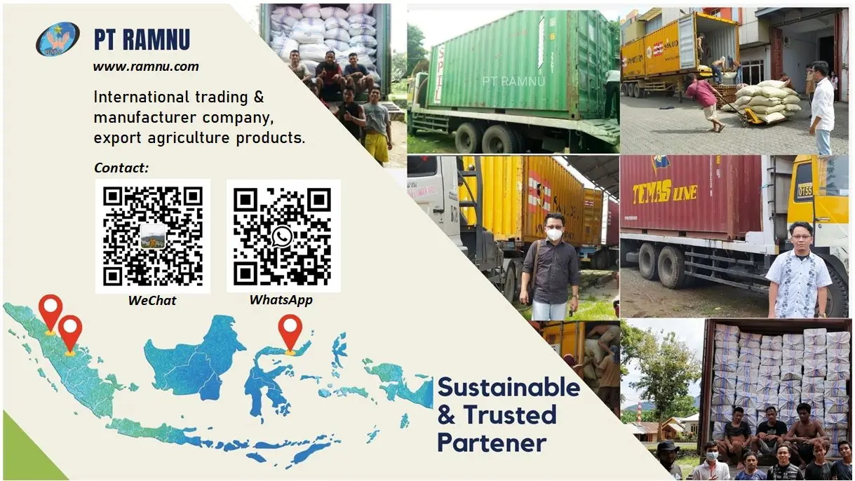 COMPANY INFO ALIBABA.JPG