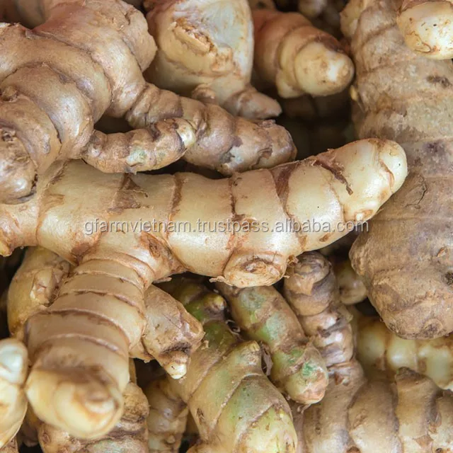 
Fresh root ginger per kg for your market for sale 