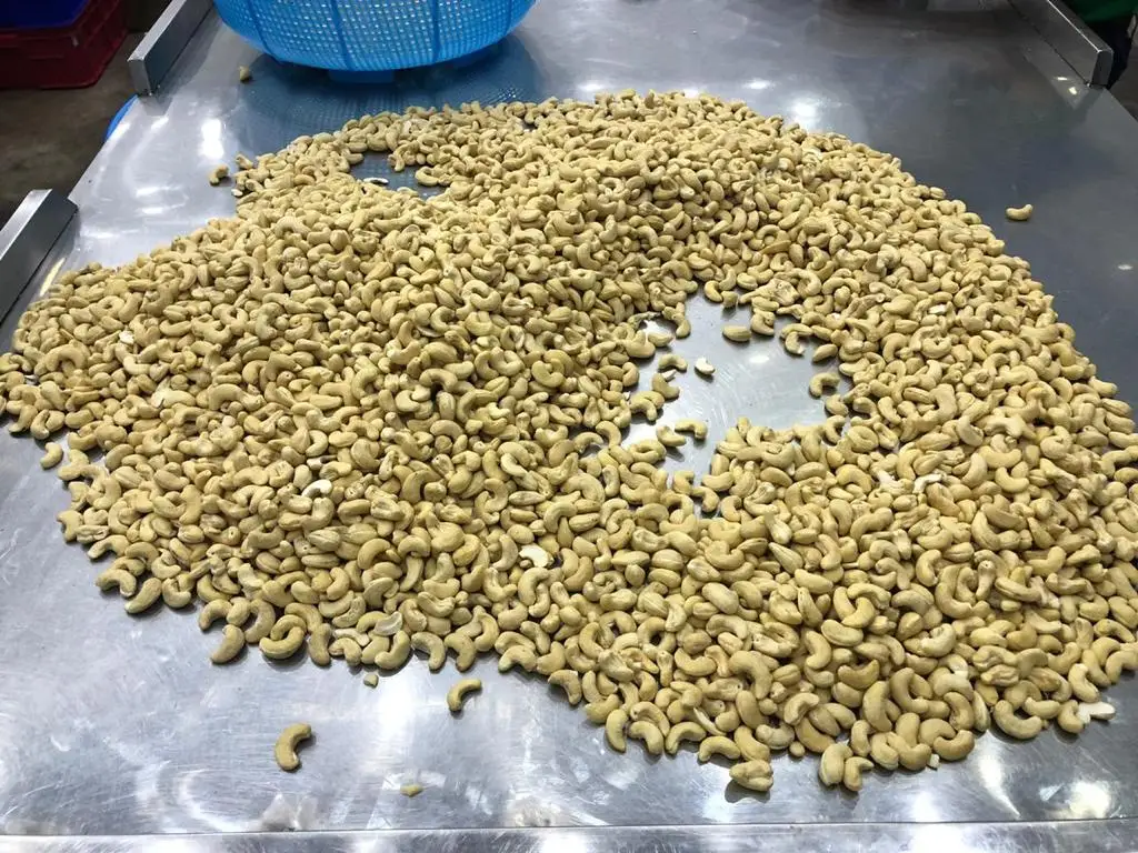 100% VIETNAM CASHEW NUTS KERNEL WW180/ WW240/ WW320/ WW450-Cashew Nuts LP/ SP-Good Quality Wholesale Price Kaju