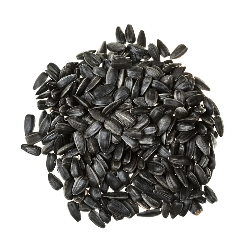 sunflower seeds Wholesale raw black Sunflower Seeds