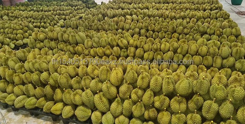 Premium  Durians Monthong from Thailand  Fresh Sweet Delicious  Best Seller