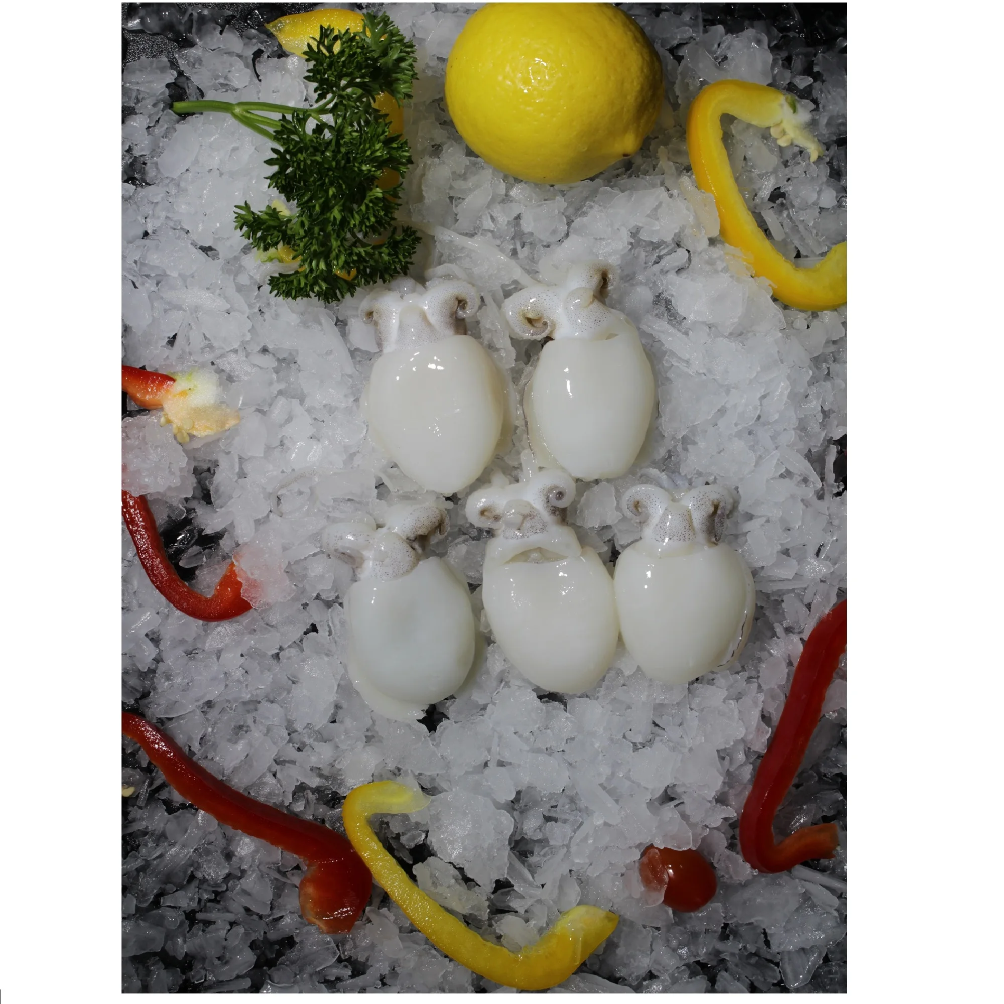 
Frozen Whole Piece Shelf Life 12 Months In Bag And Box Packaging Baby Cuttlefish 