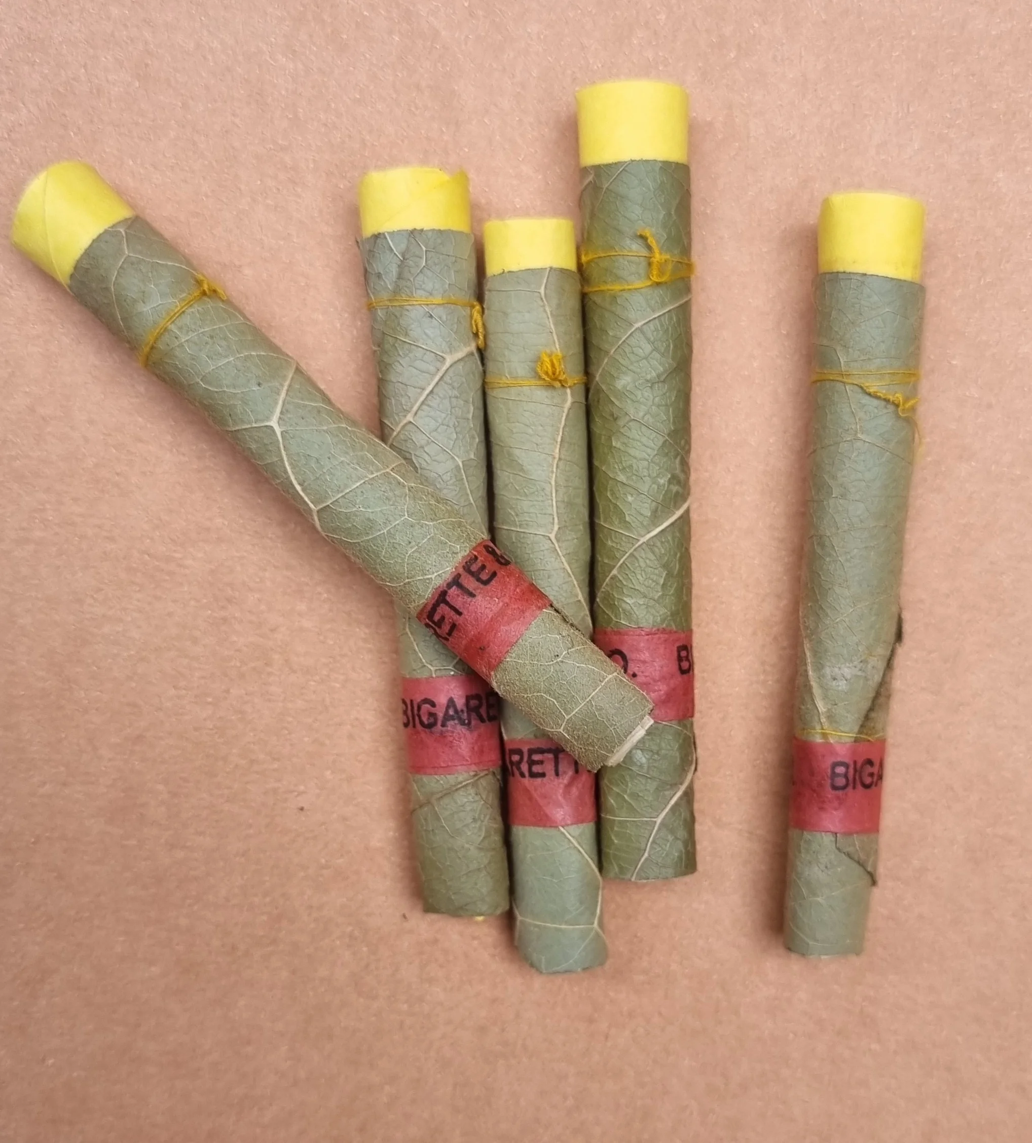 Зеленые и свежие Предварительно скрученные листья cordia tendu все ssizes по лучшим ценам Cordia