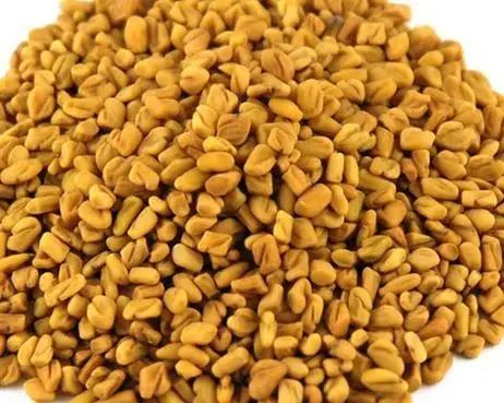 
TOP QUALITY NATURAL SORTEX FENUGREEK SEEDS FOR EXPORT FENUGEEK SEED 