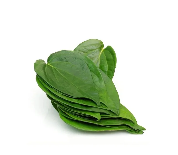 Indian Betel Leaves wholesale high quality indian exporters bulk fresh best price good quality vegetables fresh