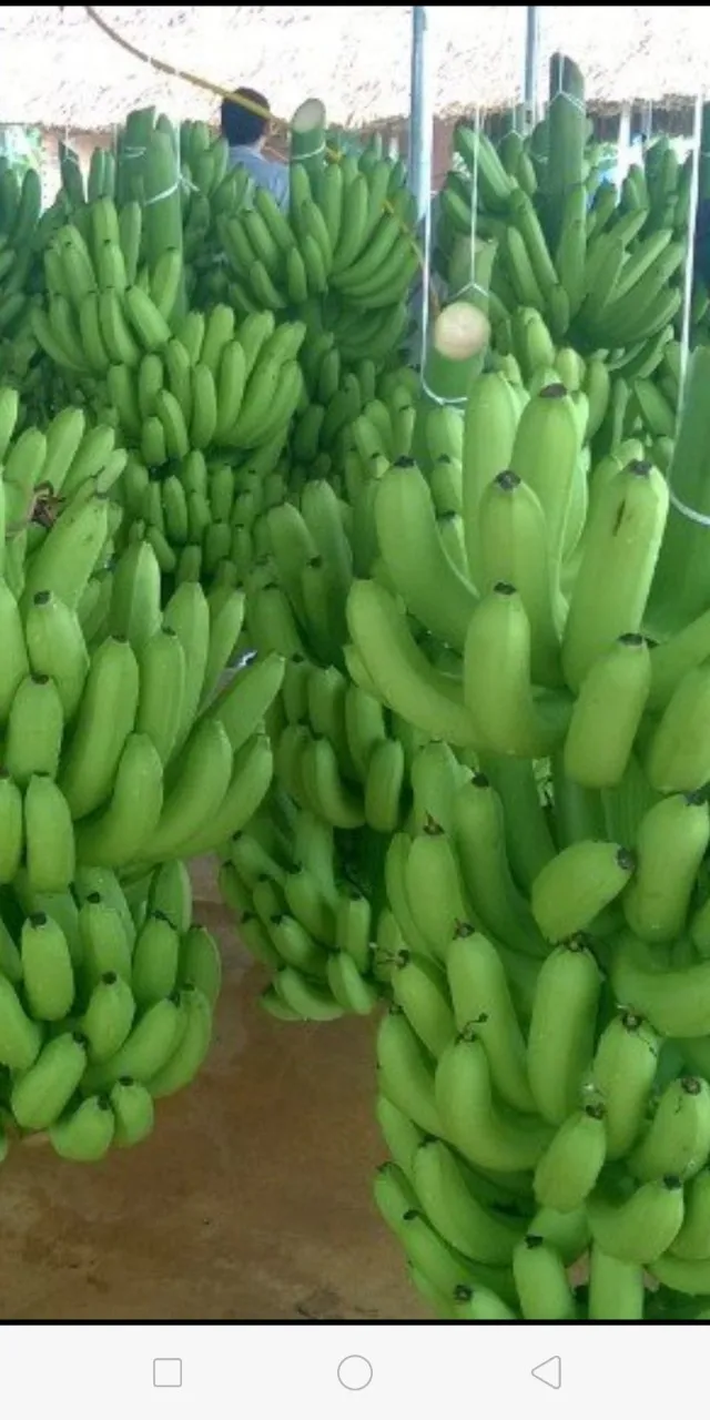 MicrosoftTeams-image (4).png