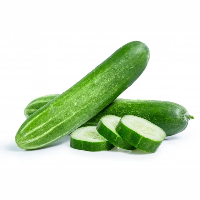 Fresh Super Delicious Taste Premium Quality Green Vietnamese Cucumber - Whole Fruit Export