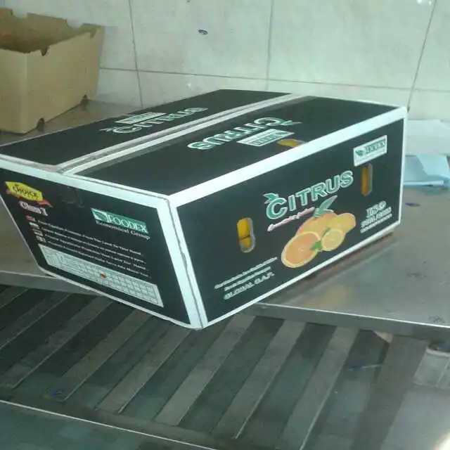 Sweet Delicious Navel Orange For Sale new corp