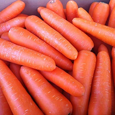
Fresh Carrots 