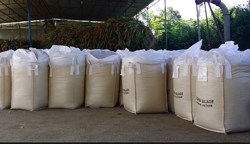 
HOT SALES CORN SILAGE ANIMAL FEED CONCENTRATE ORIGIN VIET NAM CHEAP PRICE AND HIGH QUALITY/ CORN SILAGE ORGANIC 