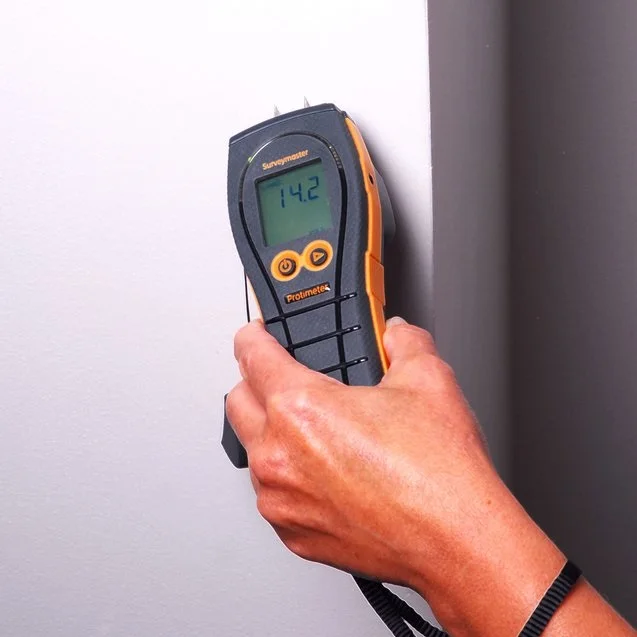 Лидер продаж высококачественный измеритель влажности Protimeter BLD5365 SurveyMaster изготовленный для измерения древесины гипсокартона строительных материалов