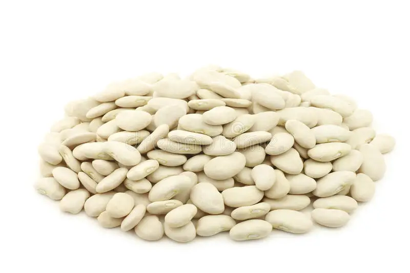 
14% Delicious Max Moisture Dried Large Lima Beans White In 140/160Pcs Per 100g Recent Crop 