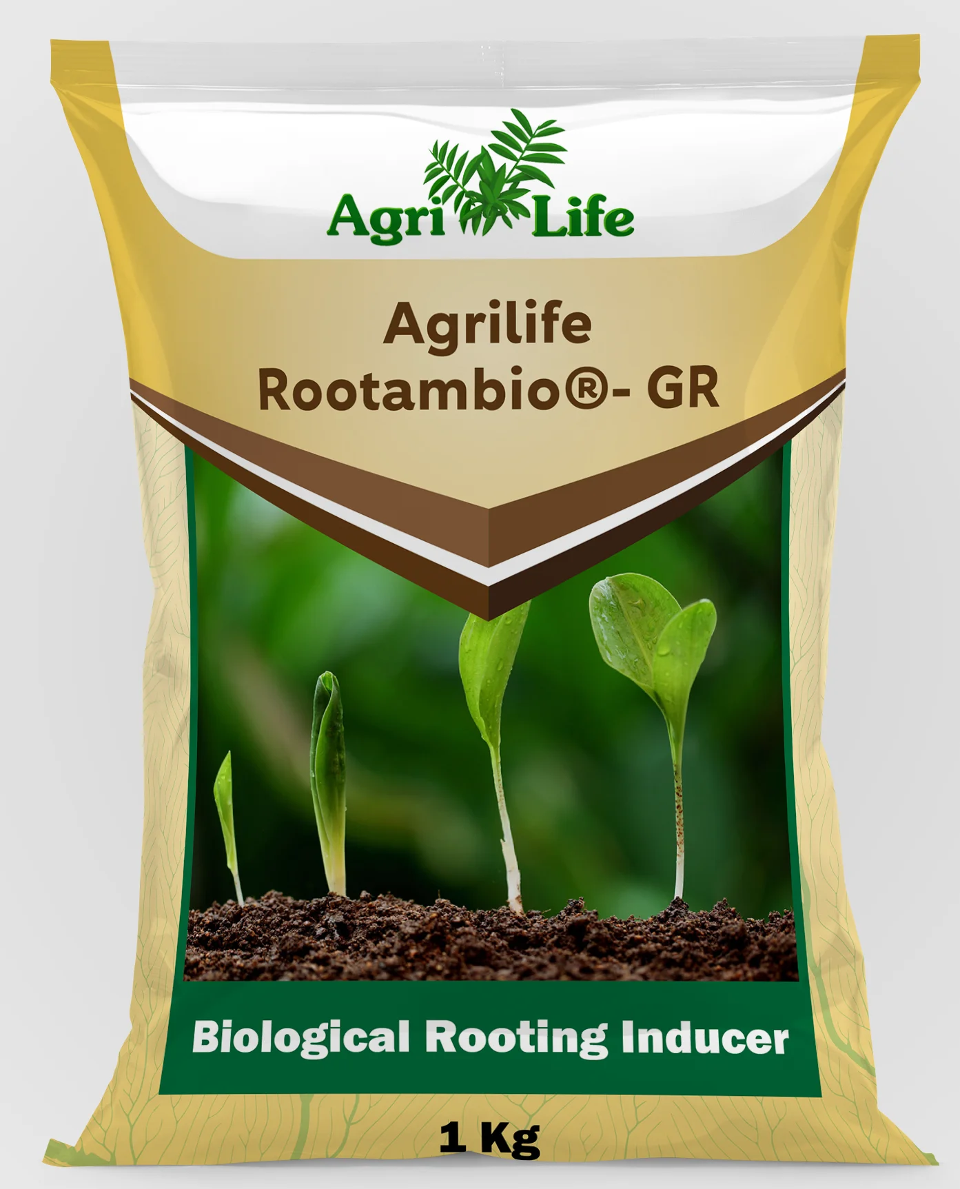 BioStimulants For Agricultural Use Nitrogen Fixation Fertilizer For Soil Application Seaweeds extract