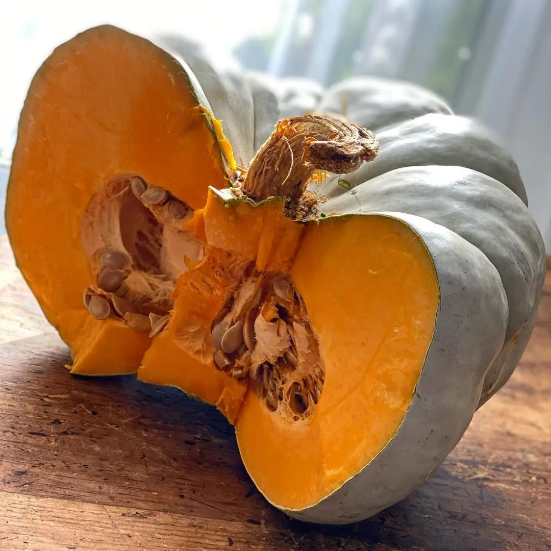 Quality Fresh Pumpkin