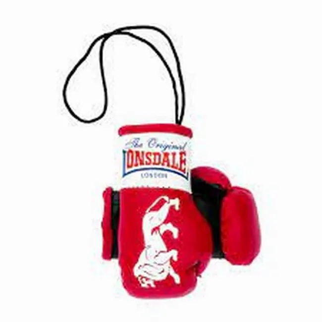 Latest design with Customized Logo Print Mini Boxing Gloves Keychain  OR Car mirror hang Made in Leather