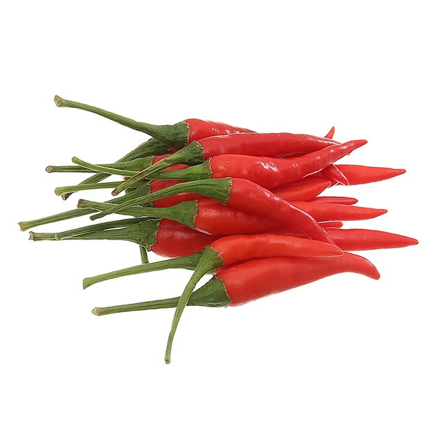 Fresh / Frozen Spicy Chili (Pepper) wholesale Cheap price and quick response with high quality and carefully packaged