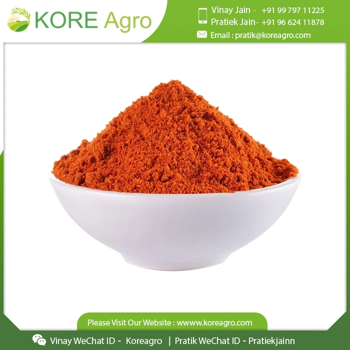 New Arrival Red Chilli Powder Richly Aromatic Chili Powder Mixed Spices & Seasonings from India