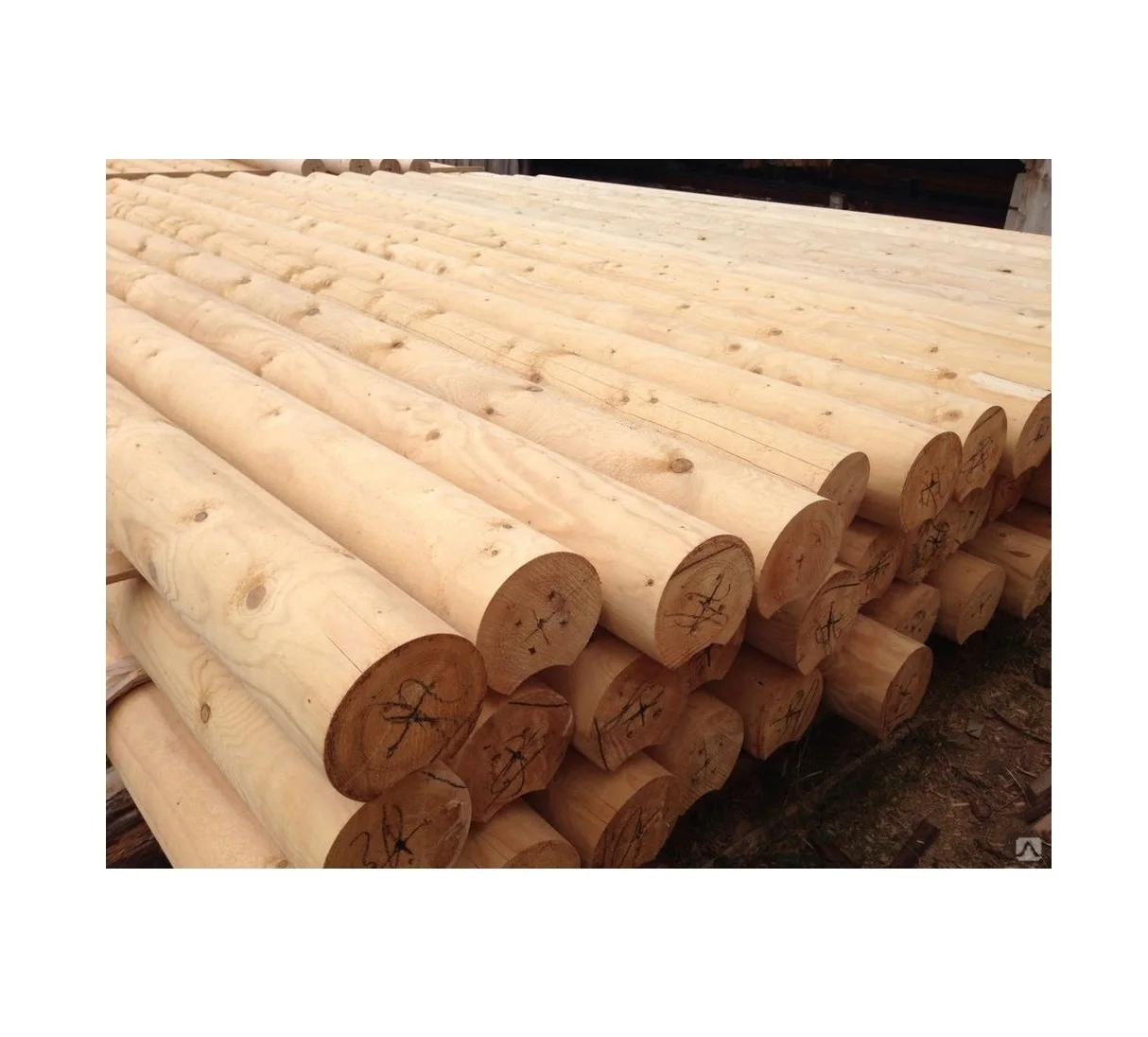 Good quality wood for construction round logs
